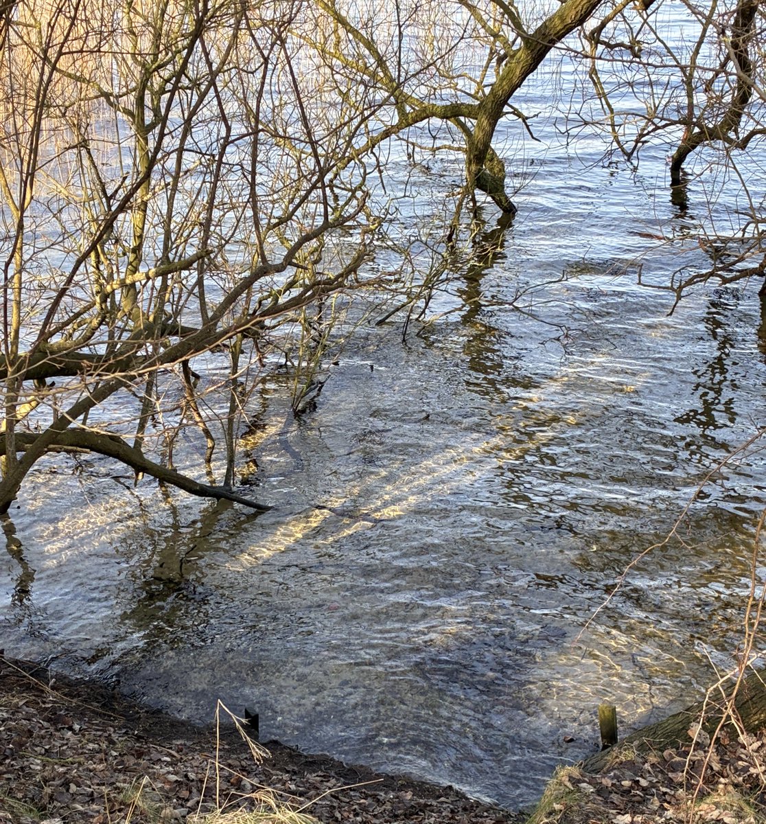 kwkatiwe's tweet image. 8 km um einen See. Bei schönstem Sonnenschein. #unterwegs #Urlaub