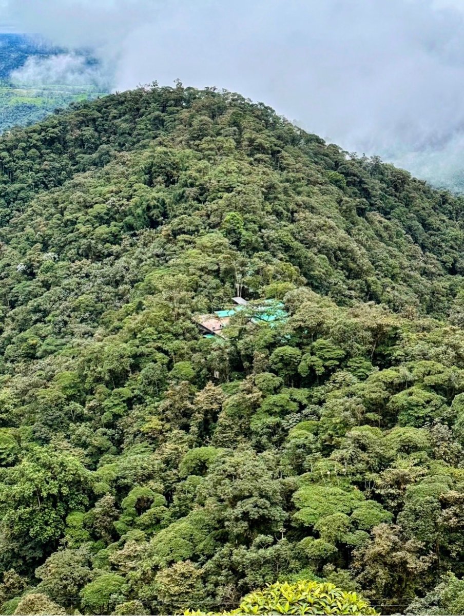 The Gallivanter's Guide tweet media