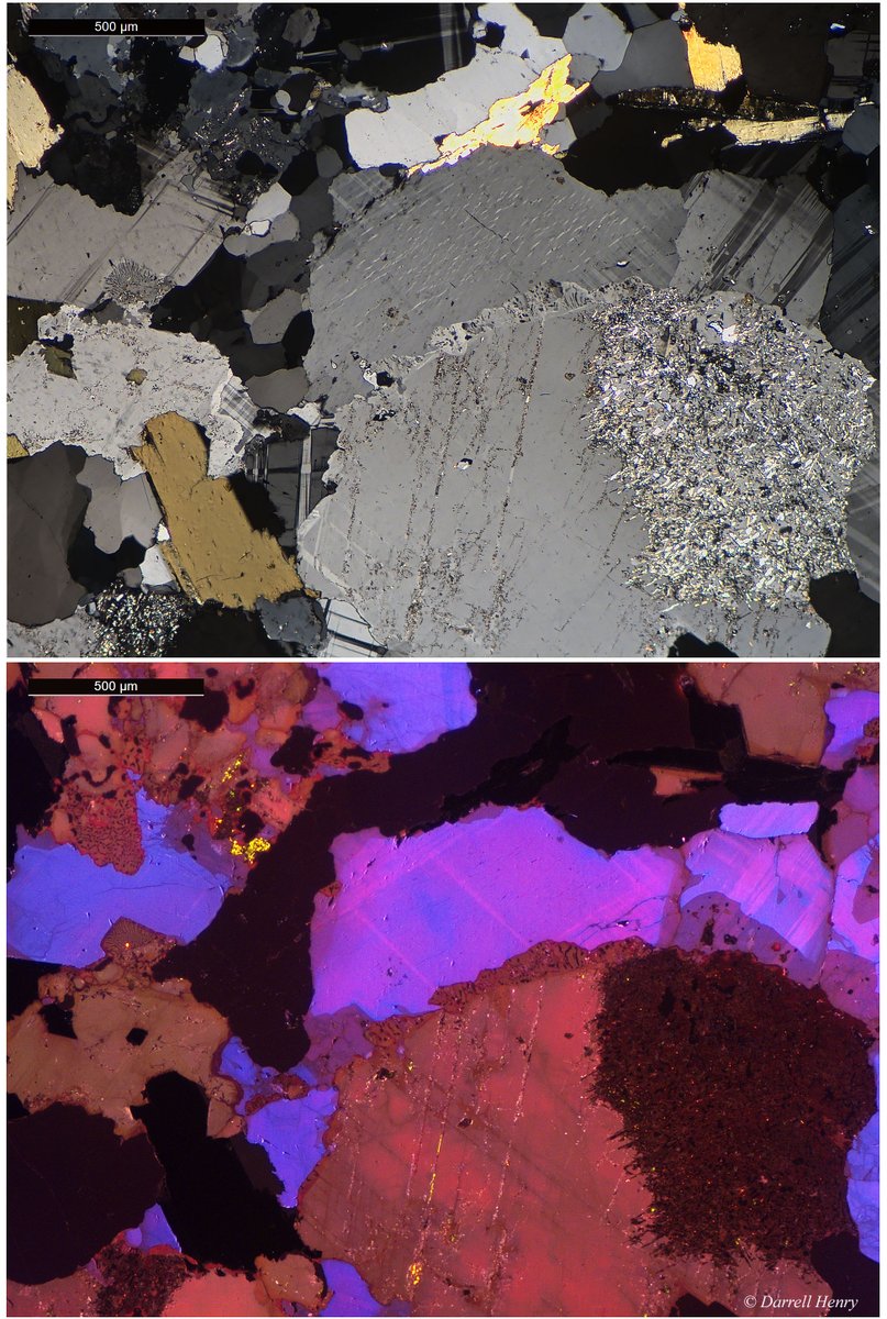 MinSocAm's tweet photo. T.S. Thursday: 2.8 Ga Granodiorite from the Beartooth Mtns, MT in crossed polars and cathodoluminescence. In CL the red zone between microcline and plagioclase is a fine-grained myrmekite (plagioclase and quartz intergrowths). Contributed by Darrell Henry. #thinsectionthursday https://t.co/Z9cadfXDUU