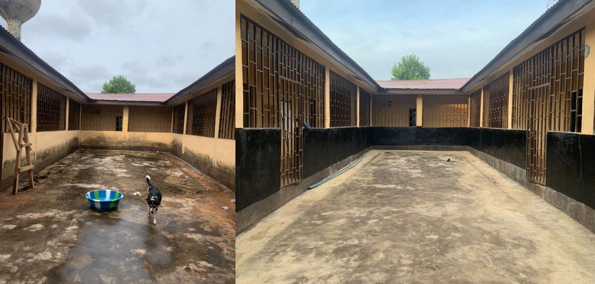 Friends of Sierra Leone tweet media