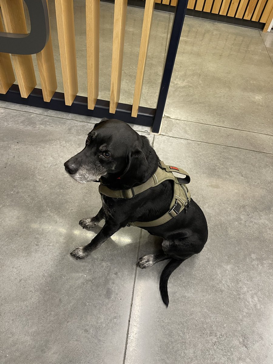 Ofc. Mike Bossman tweet media