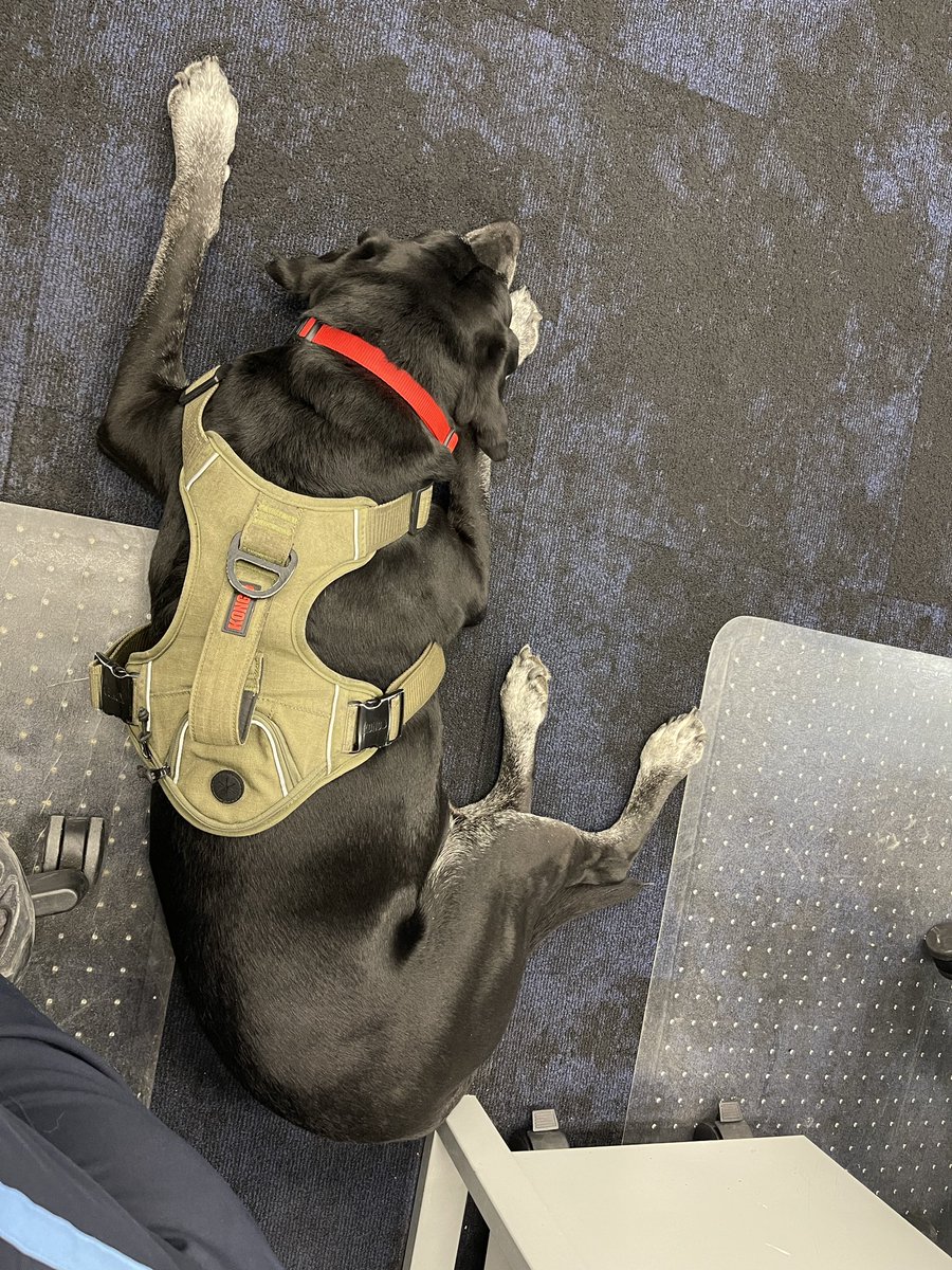 Ofc. Mike Bossman tweet media