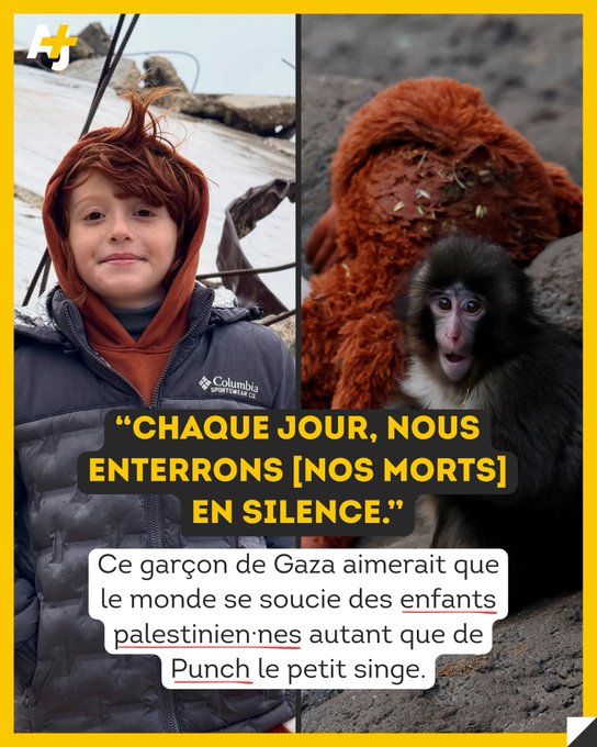 imarclement's tweet photo. À Gaza, Malek est déçu que les enfants palestinien·nes ne suscitent pas la même attention que Punch, le petit singe devenu viral. https://t.co/UJXMTJP9df