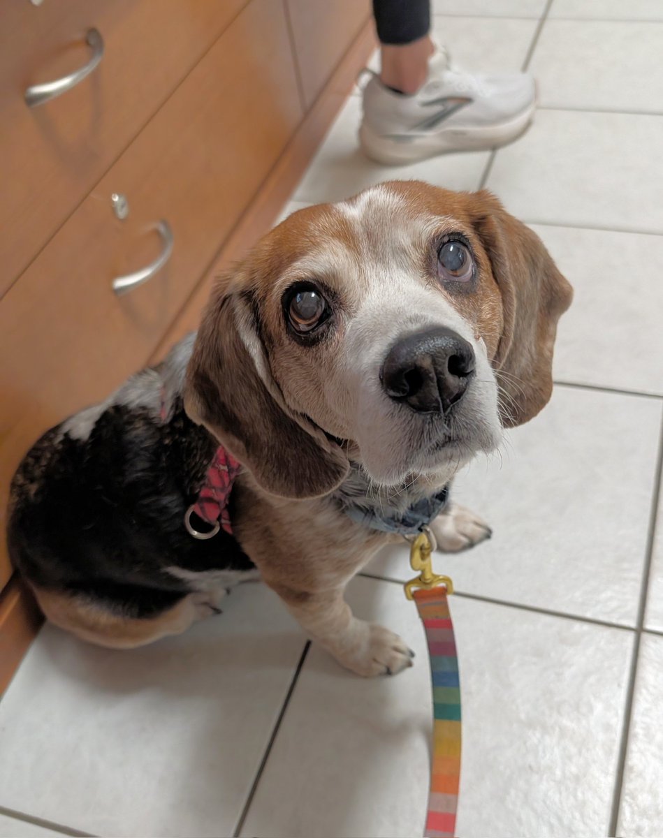 Kristin, The Normanator and 🌈 Friends tweet media