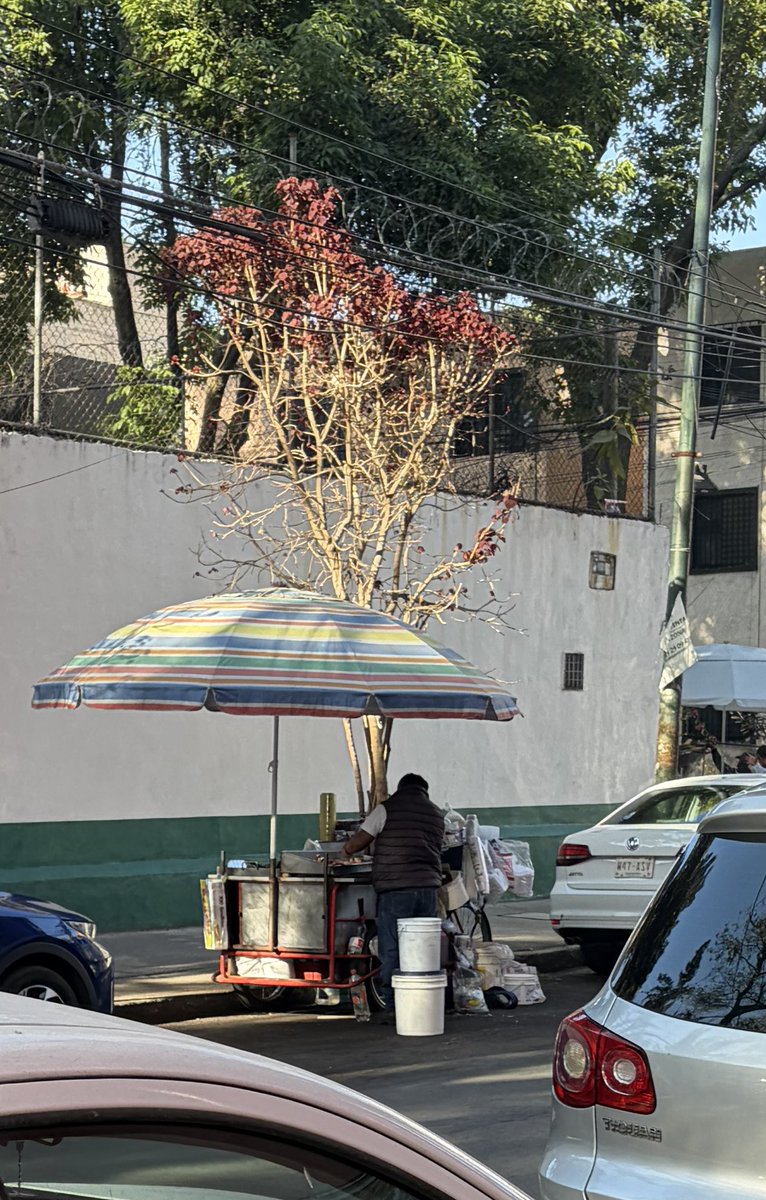 Alcalde <a href="/LuisMendozaBJ/">Luis Mendoza Acevedo</a> seguimos en espera de retiro de este puesto ambulante en calle Rembrandt 32, col Nonoalco en <a href="/BJAlcaldia/">Alcaldía de Benito Juárez</a> <a href="/SPAOVP_CDMX/">Subsecretaría de Programas Alcaldías Ordenamiento</a> <a href="/LlubereSubse/">Adolfo Llubere Sevilla</a>