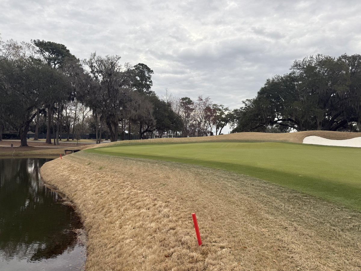 Brady Hooks tweet media