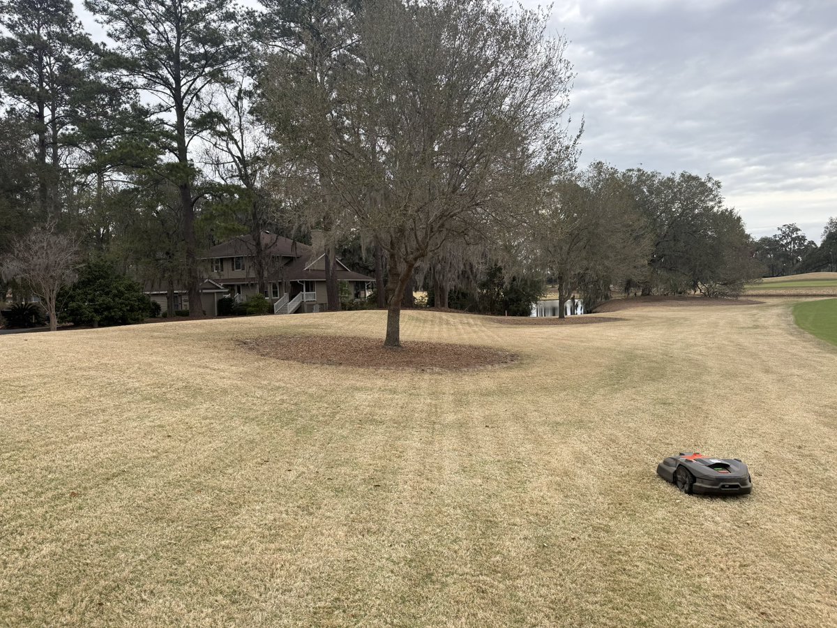 Brady Hooks tweet media