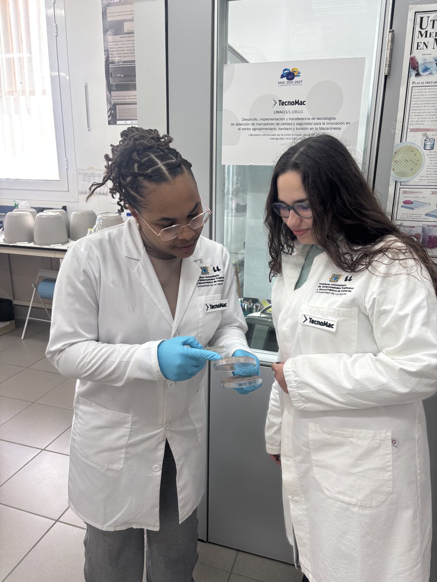 FundaciónGeneral ULL tweet media