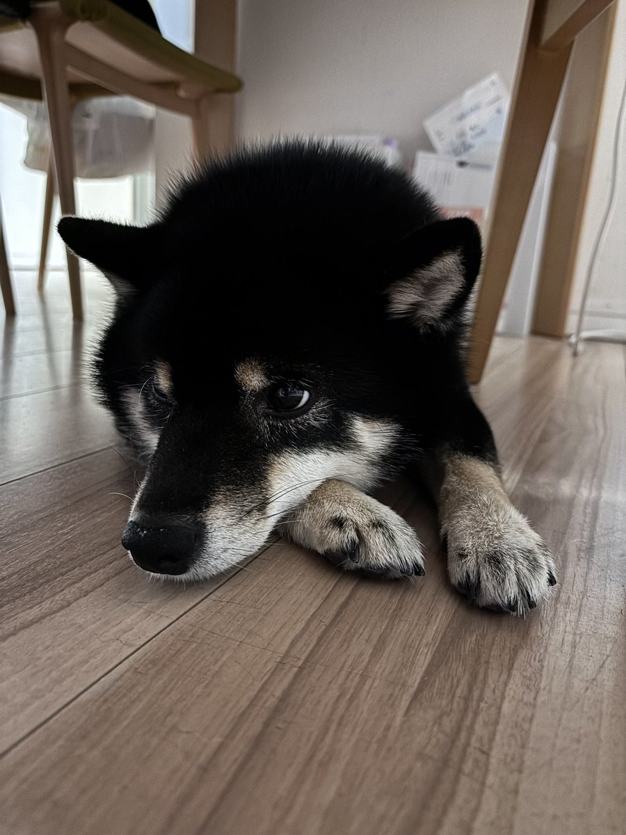 そろそろ寝ますよ🫩