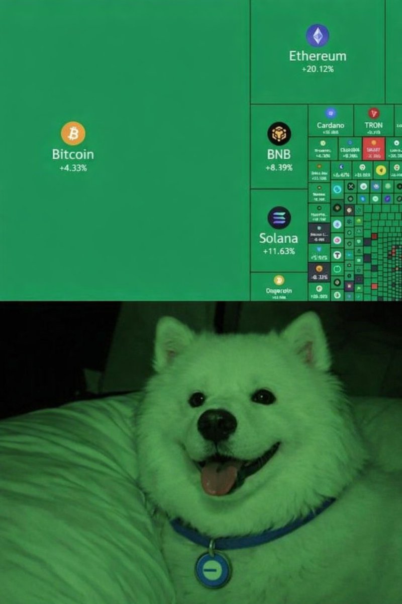 Every degen watching the market today be like.