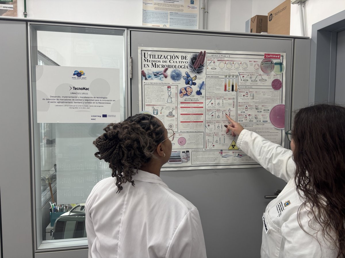 FundaciónGeneral ULL tweet media