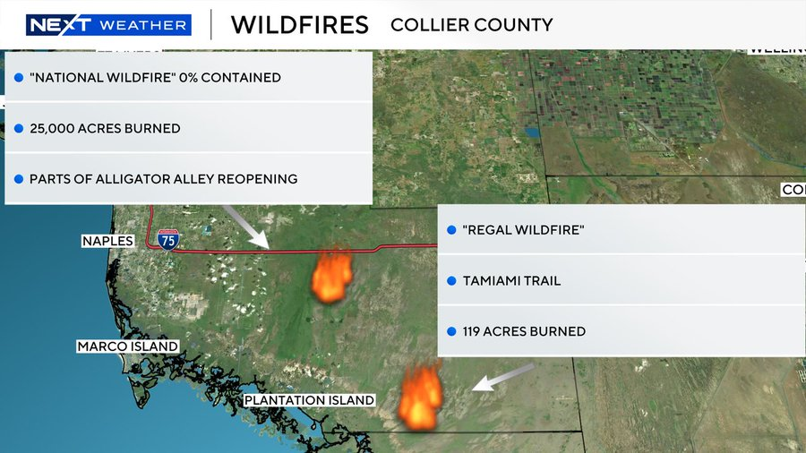 Branch Floridian tweet media