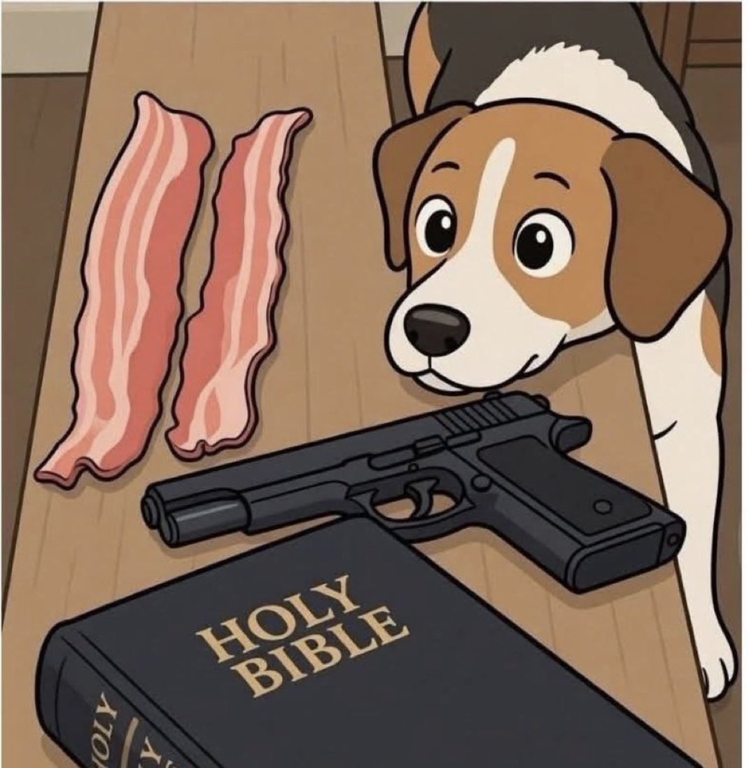 AlexDuncanTX's tweet photo. Islam repellent. https://t.co/POVukv2HN7