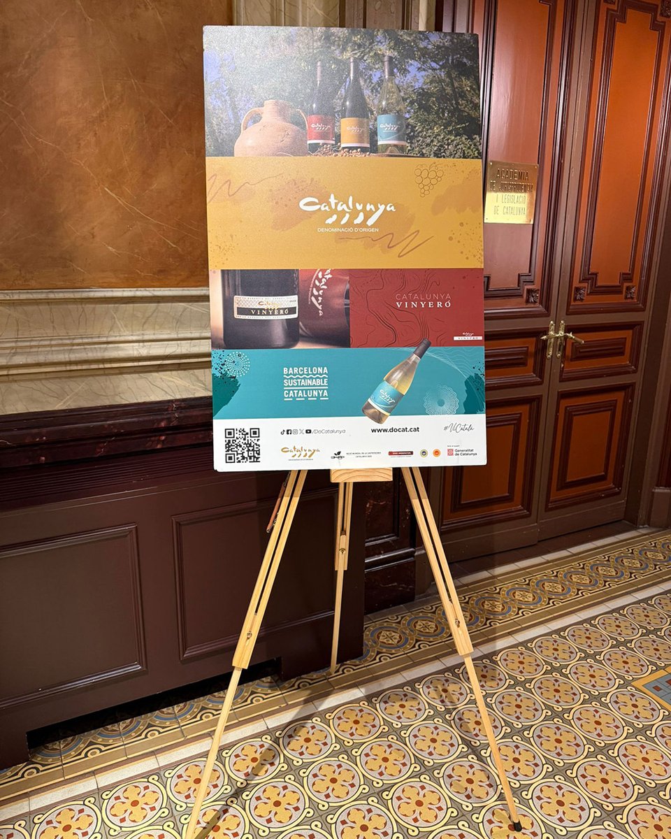 DO Catalunya tweet media