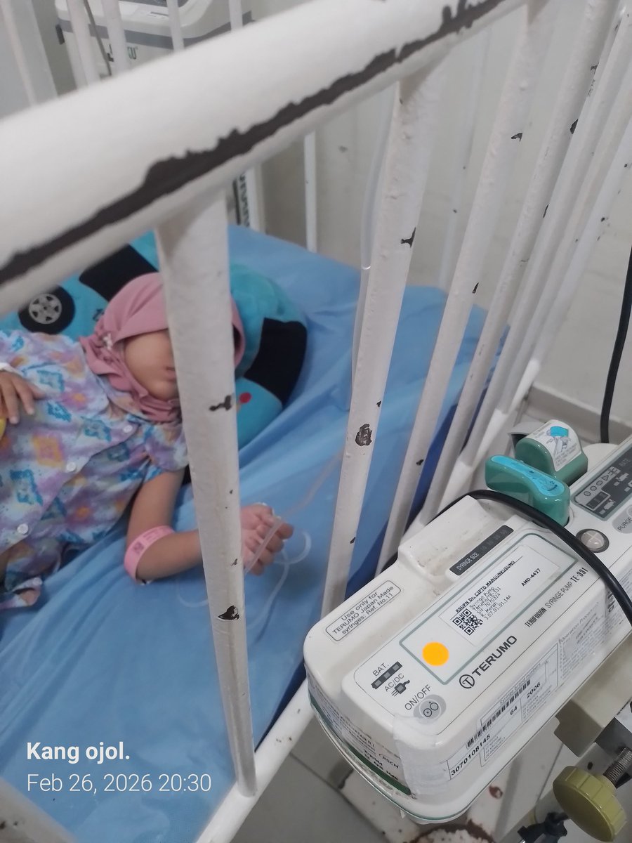 Ayah Khaira tweet media