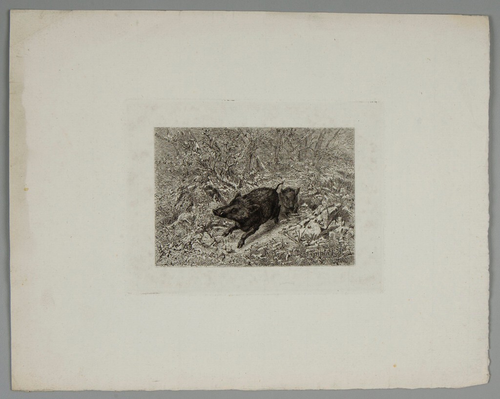 Karl Bodmer tweet media