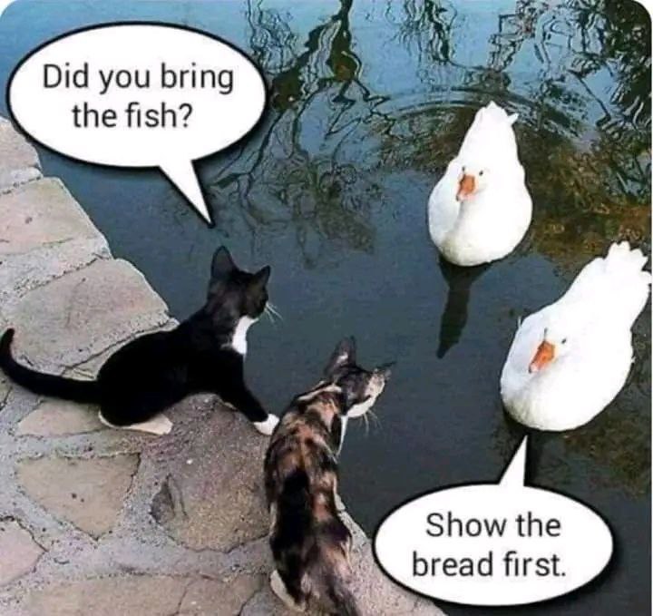 🤣🤣🤣🤣 matrix adaptations!