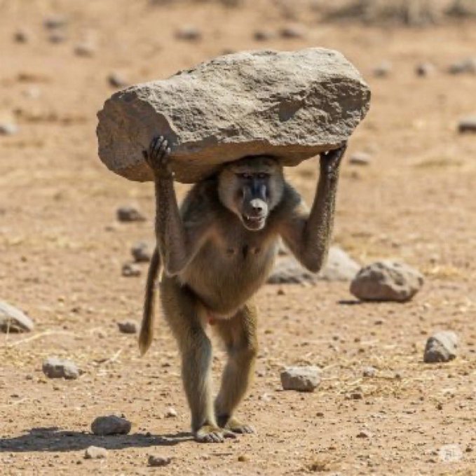 Weka handles, weka handles,, Ni mabaya.