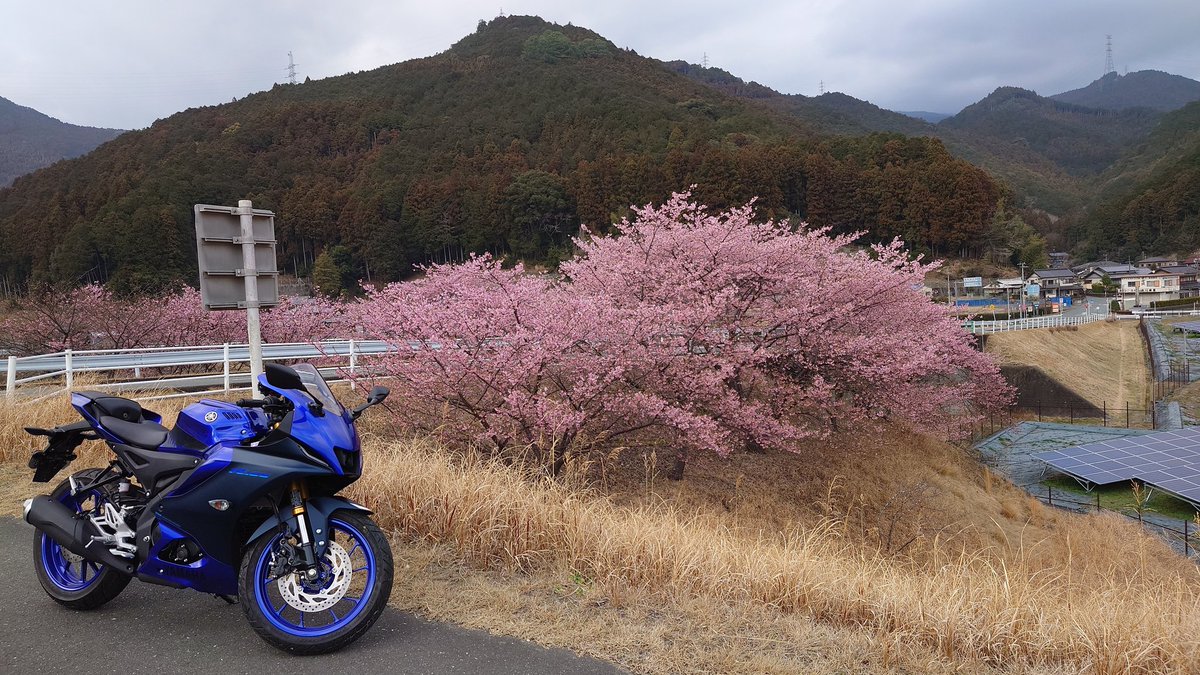 Pen_1715's tweet photo. 天竜の方行ってきた https://t.co/sJTxtYPTQ1
