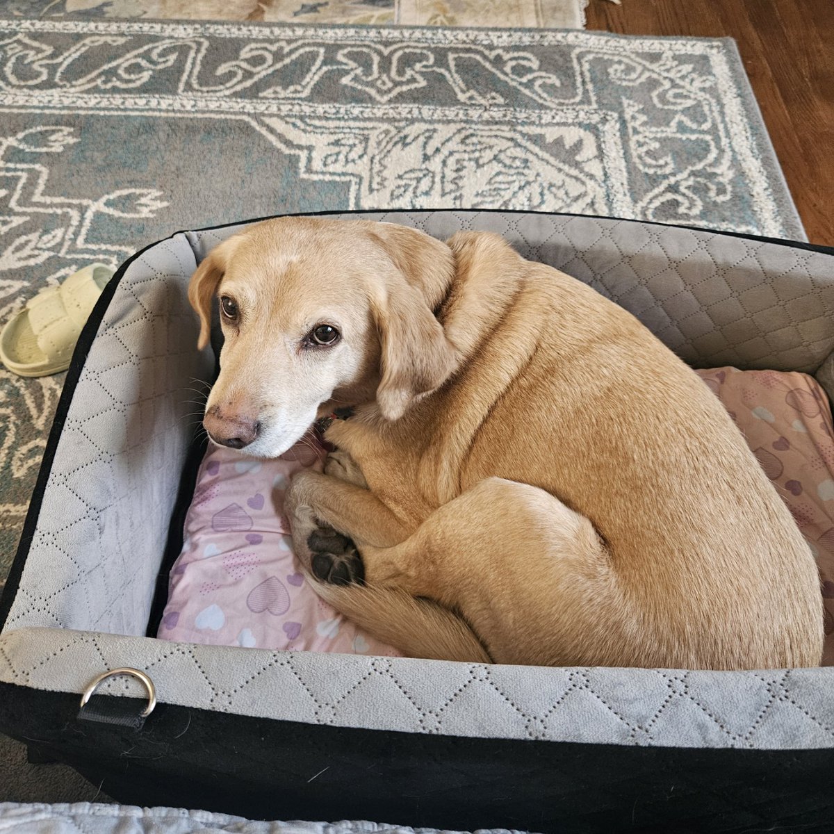 Sebastian Bae tweet media