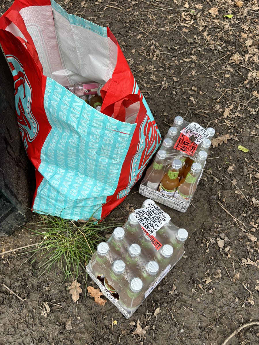 Anne-Louise Quinton tweet media