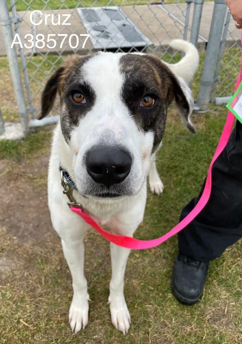 Lisa Brabson. tweet media