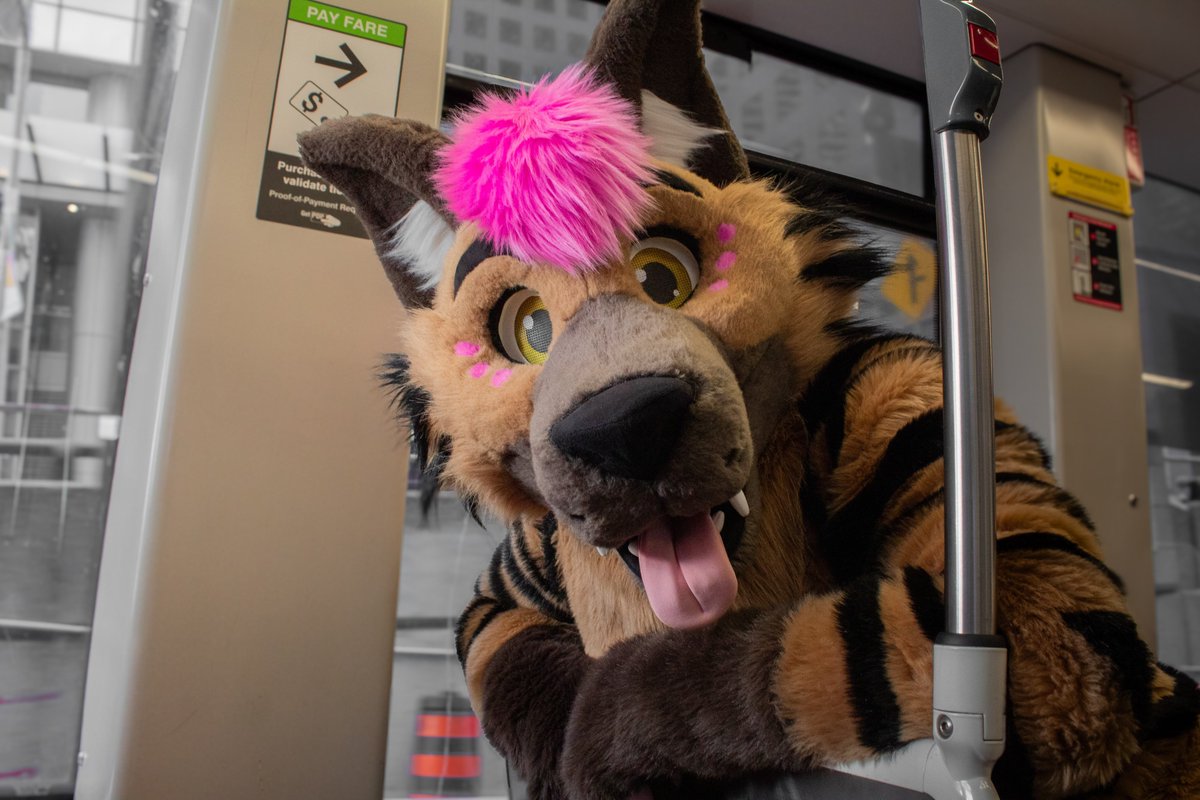 Jax Hyena / Glacier Husky 🔜 FE, AC tweet media