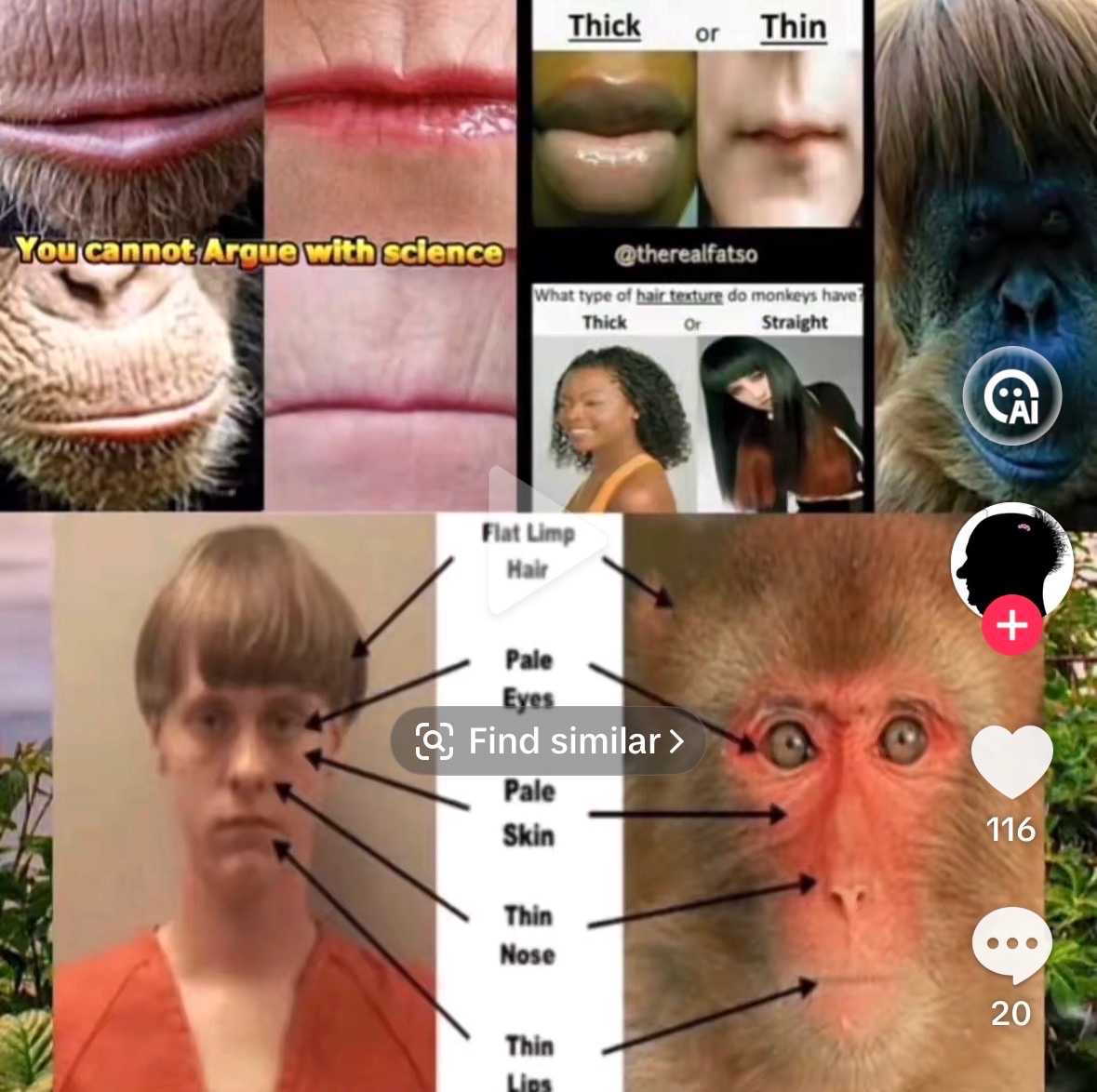 skislumpgod21's tweet photo. @Dr__CraigWright @OTTOGOTO @Coldstray So does your faggot ass who looks more like a monkey🙈🫵🤣 https://t.co/UYxddQDVsq