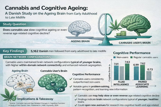 44-year study showed Cannabis users showed LESS brain aging/decline!  

Main finding: 

Men who had ever used cannabis actually showed less drop in their cognitive (thinking) abilities over the decades compared to men who never used it.   

Among the cannabis users, things like