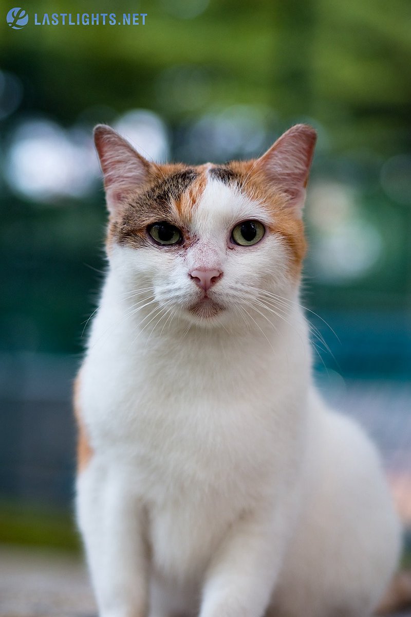 Joey J 📸 tweet media