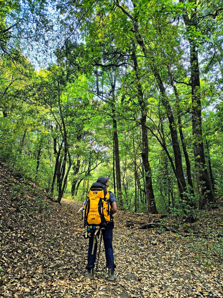 The best summer plans don’t need air conditioning.🌤️ See you on the trails.

Go outside. Go explore.⛰️

#GoExplore #SummerTrails #HimalayanTrek #Outdoors #trekking