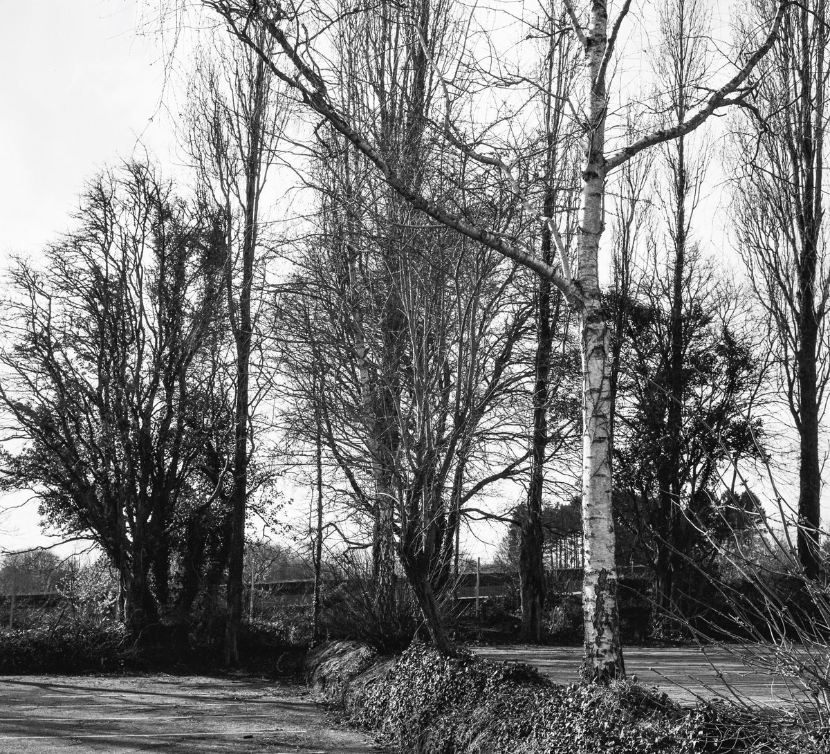 Steve Edwards #The Smoking Photographer tweet media