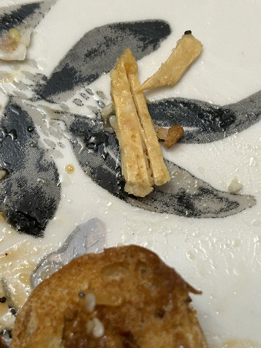 ♥ Korrie - Cats Collectibles TCG ♥ tweet media