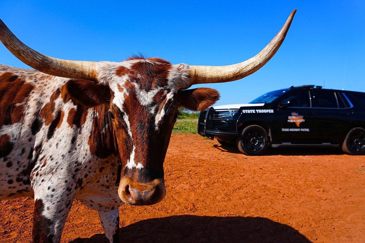 TxDPS - Northwest Texas Region (@TxDPSNorthwest) / Posts / X