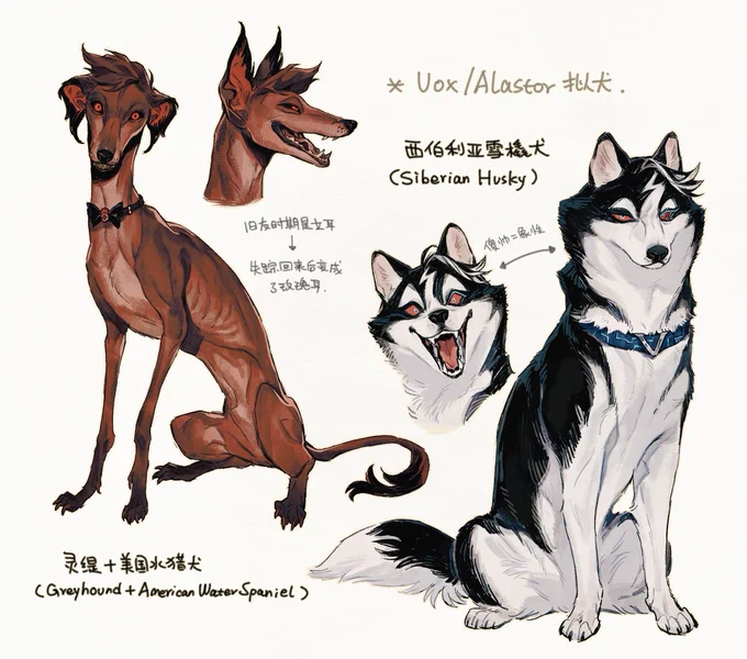 猫狗双全