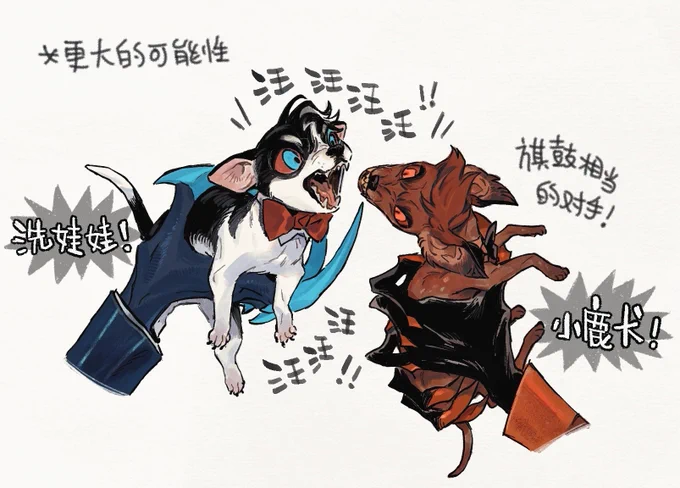 猫狗双全