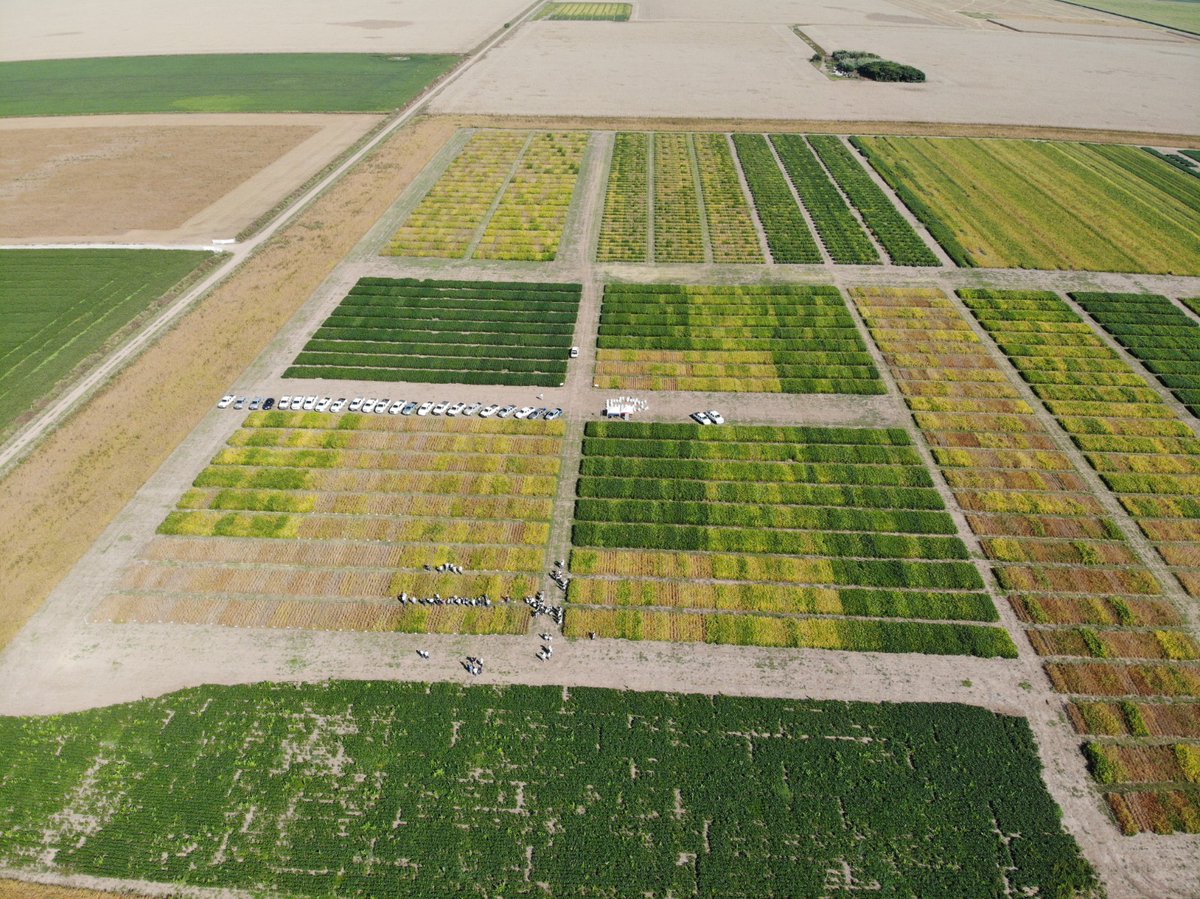 INTA Informa tweet media