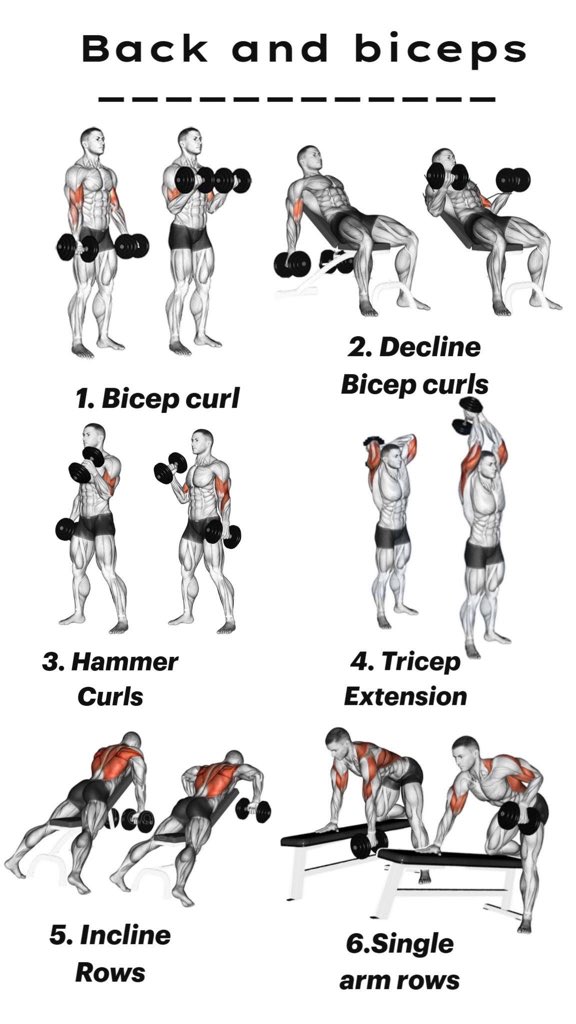 Aesthetic WorkOut tweet media