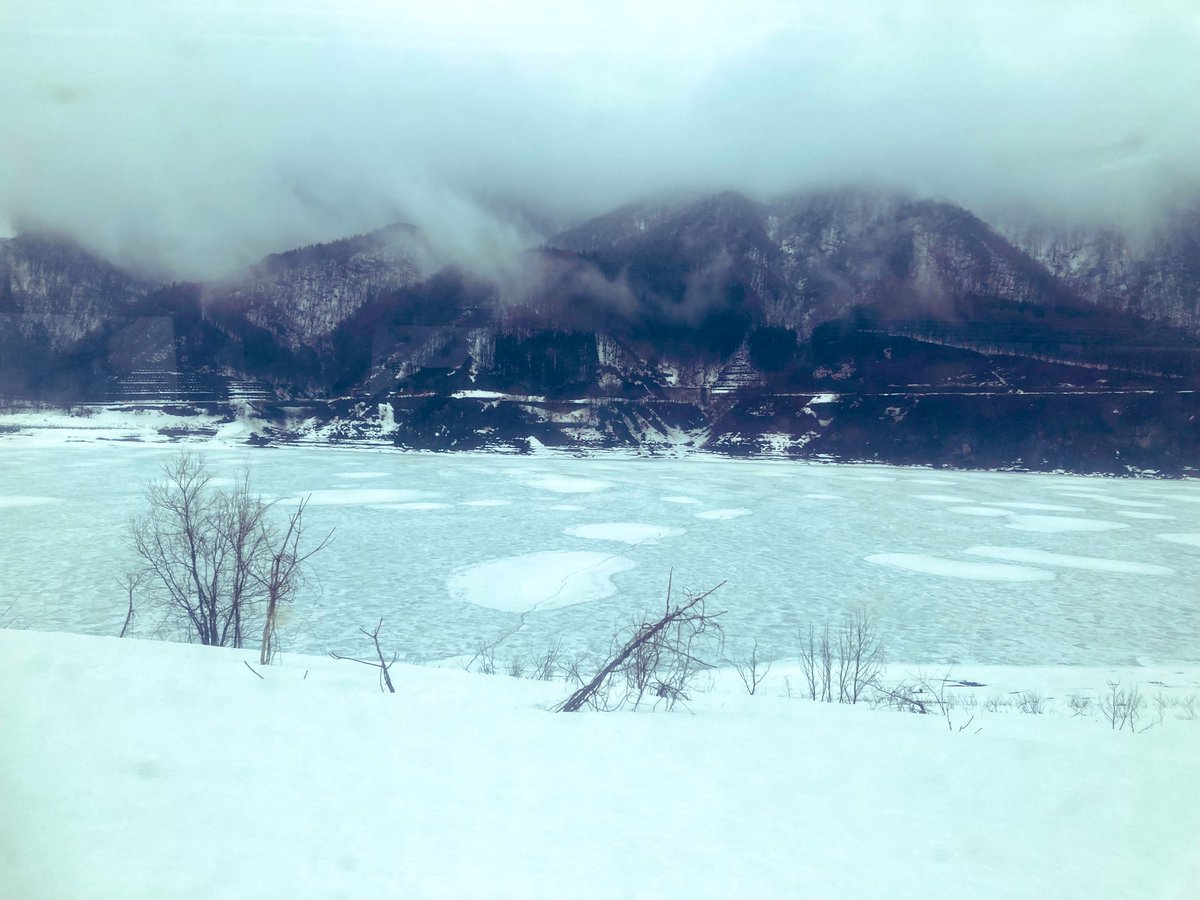 ものがたりグループ☆ポランの会 宮澤賢治の童話 tweet media