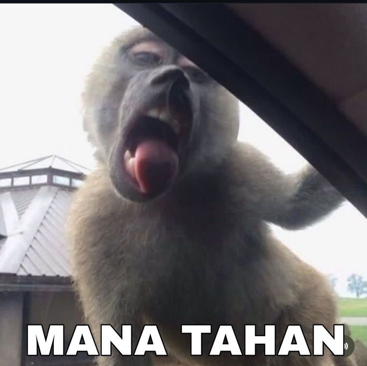 𝗝𝘂𝗻𝗶𝗼𝗿 (@paanachai) on Twitter photo 