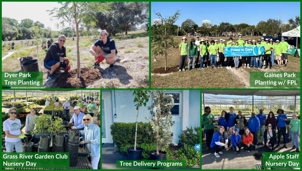 Community Greening tweet media