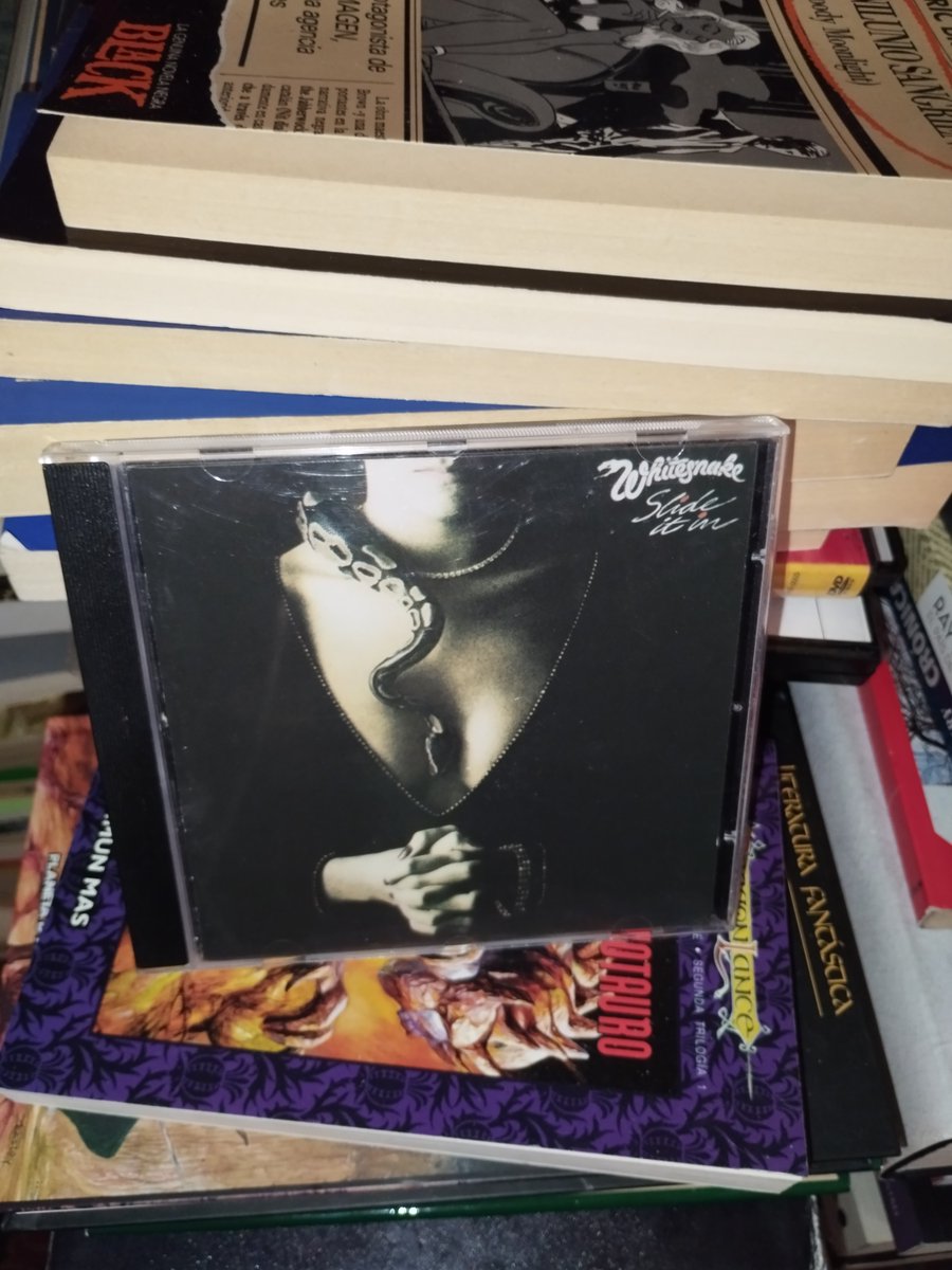 AbsoluteAlternativeM tweet media