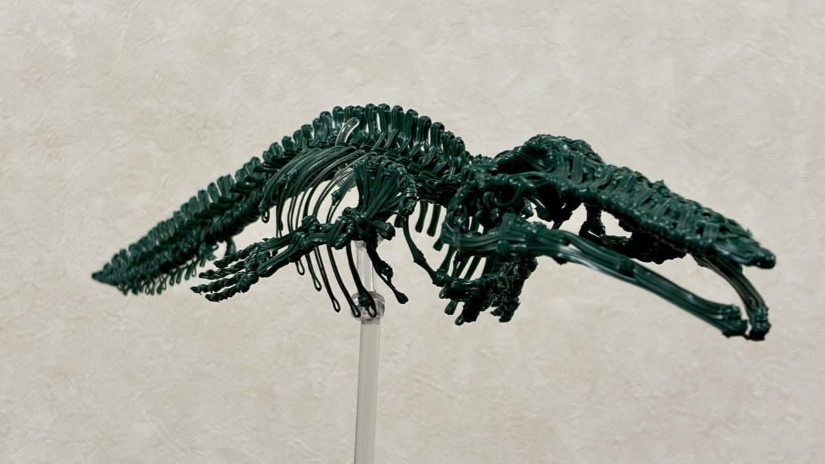 Shin_ULTRArodan's tweet photo. クジラの骨格をビニールタイで作りました〜 https://t.co/5uwKl9Lj43