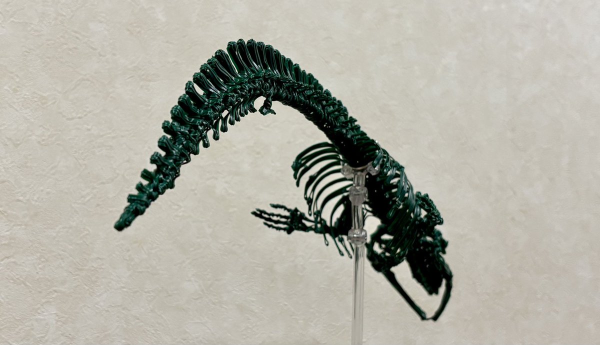 Shin_ULTRArodan's tweet photo. クジラの骨格をビニールタイで作りました〜 https://t.co/5uwKl9Lj43