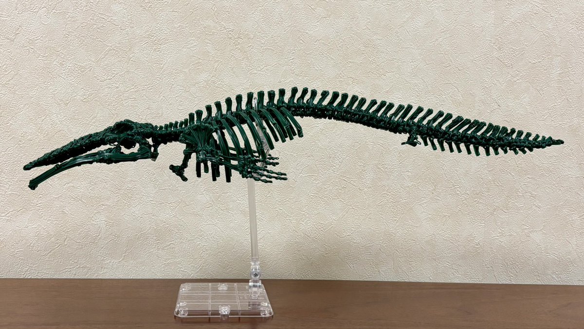 Shin_ULTRArodan's tweet photo. クジラの骨格をビニールタイで作りました〜 https://t.co/5uwKl9Lj43