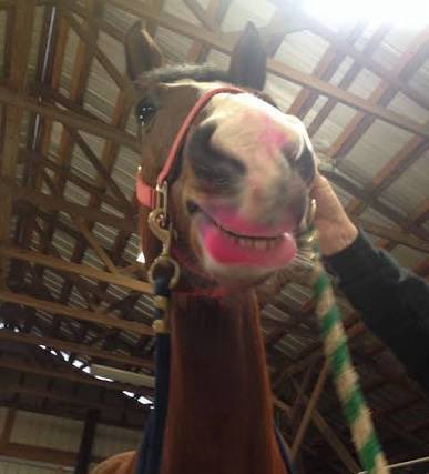 LMAOOOO now who did this 😭😭