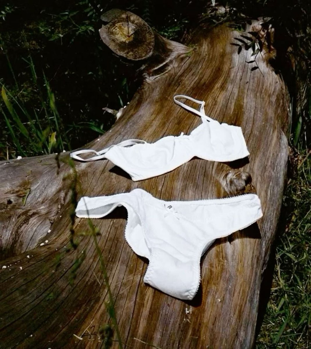 Cleopatra 🪷 ✞ tweet media