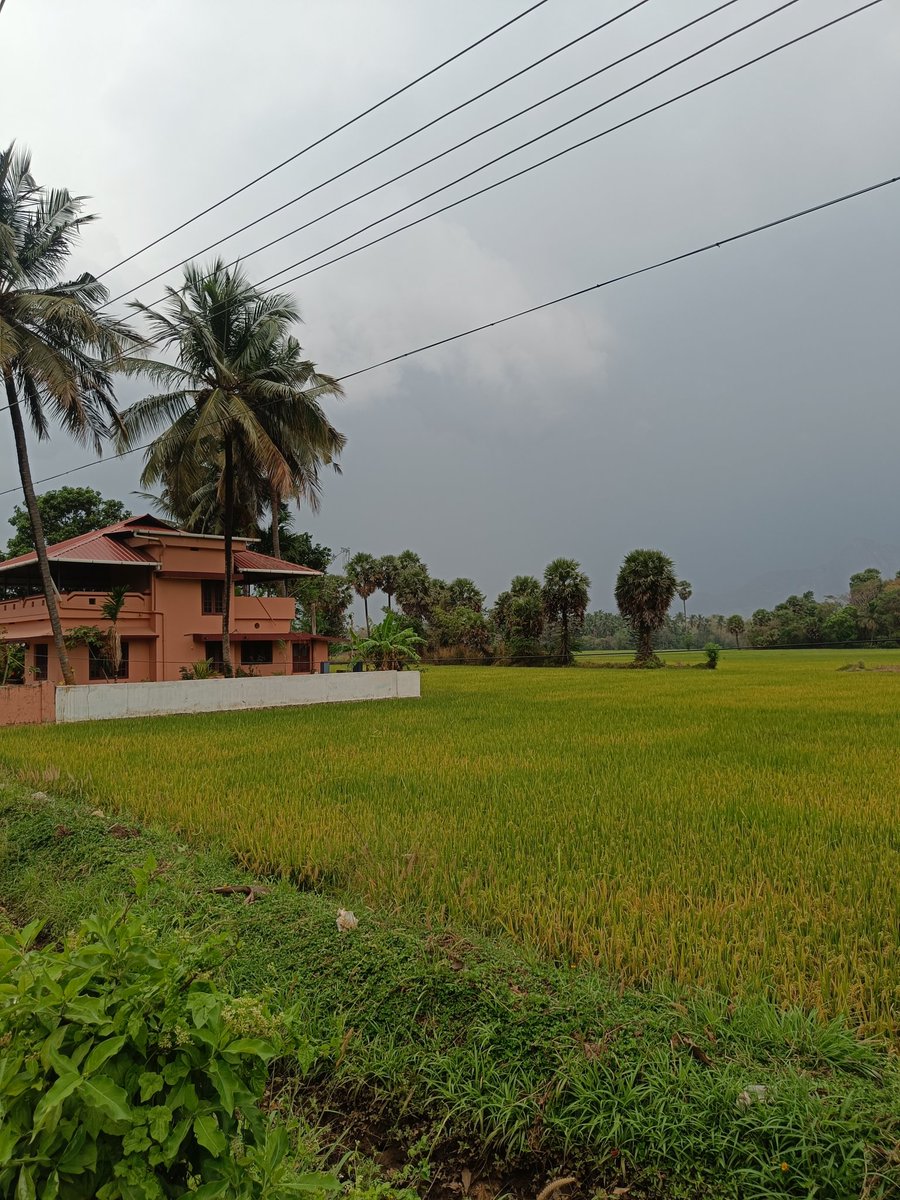 Kunal Ray tweet media