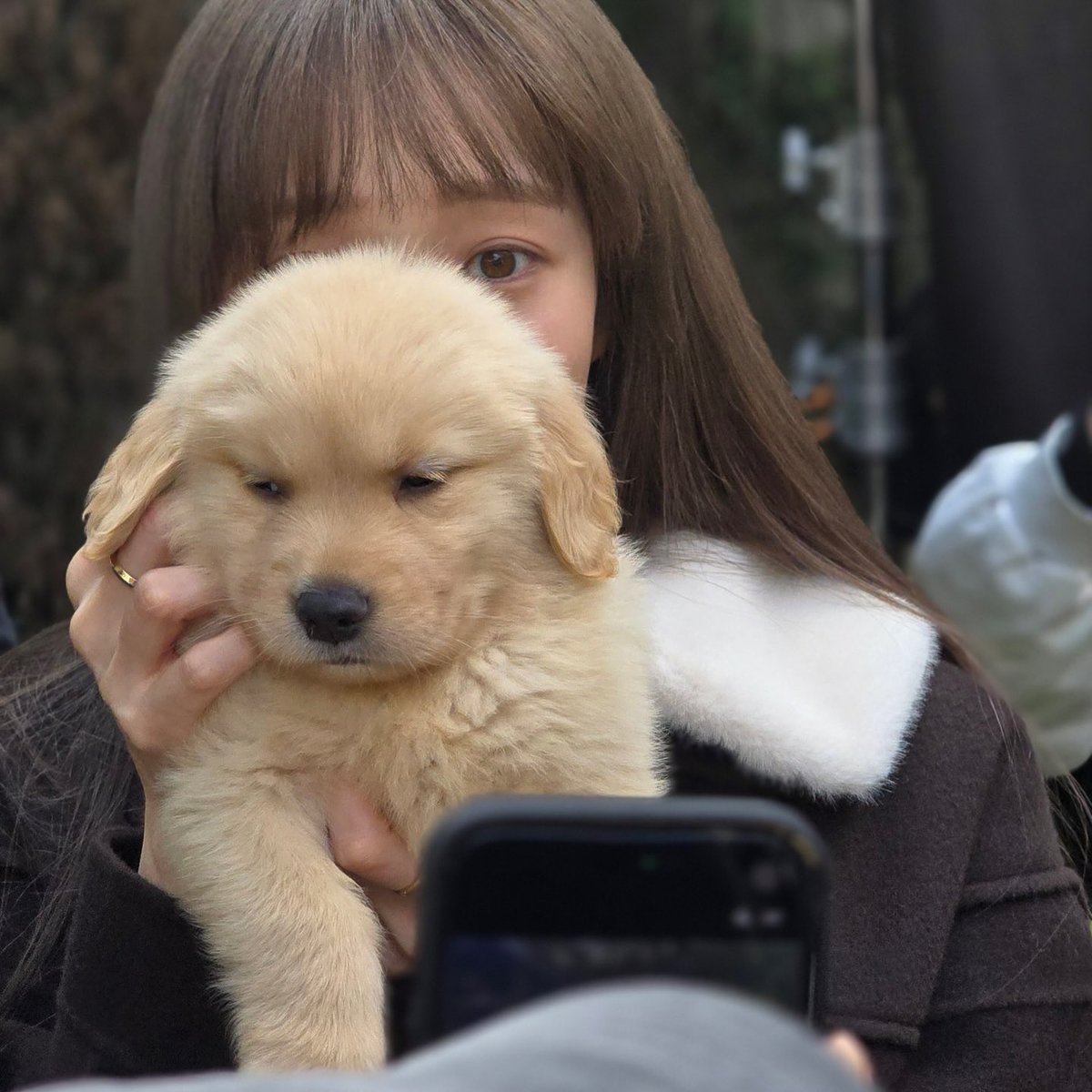 __gxxxg's tweet photo. 뒤에똥개뭐야 https://t.co/JjreS7VZcL