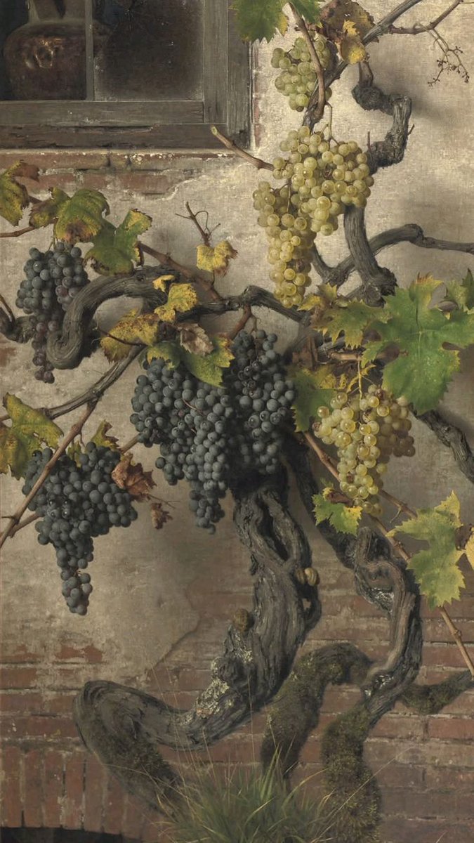 𝓞𝓷𝓵𝔂 𝓐𝓮𝓼𝓽𝓱𝓮𝓽𝓲𝓬 (@oaesthetiicc) on Twitter photo 